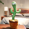 Cactus Parrot | Imiterar, talar och dansar